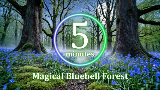 Free 5 Minute Calming Timer - Magical Bluebell Forest Ambience Innerpeaceful One