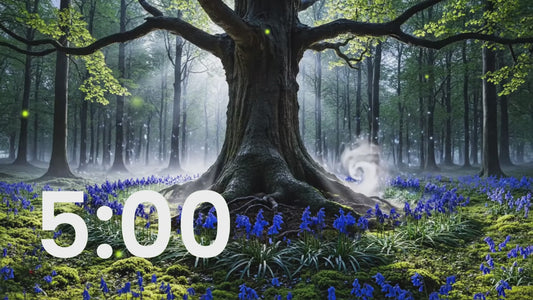 Free 5 Minute Calming Timer - Magical Bluebell Forest Ambience