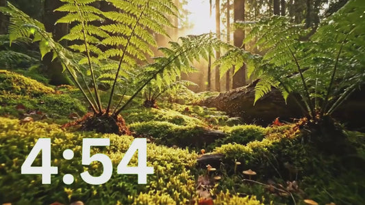 💚 5 Minute Timer for Reading & Study with Serene Forest Scene