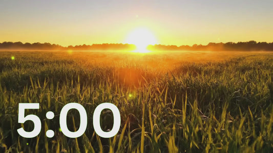 💛 5 Minute Classroom Timer with Sunrise for Focus & Relaxing Music